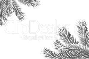 Digitally generated fir tree branches