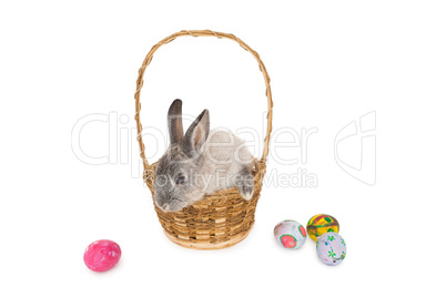 Bunny rabbit sitting on the basket with easter eggs