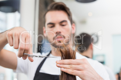 Handsome hair stylist cutting hair