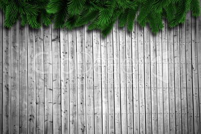 Fir branches on wooden planks