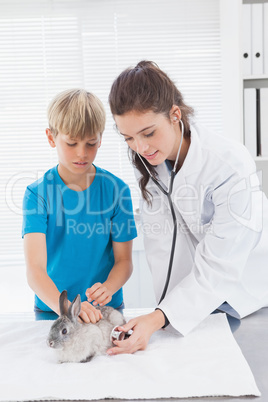 Vet examining a rabbit with its owner