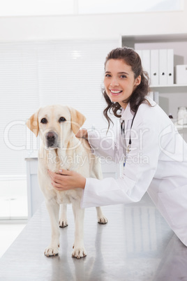 Happy vet examining a cute dog