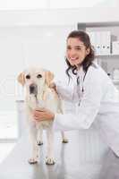 Happy vet examining a cute dog