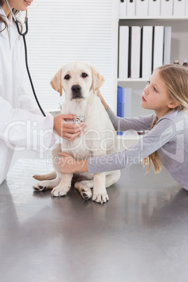 Vet examining a dog with stethoscope