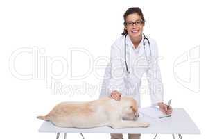 Veterinarian doing check up at a dog