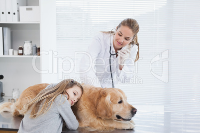 Happy vet checking a labrador