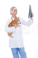 Vet holding cat and looking at xray