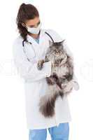 Vet with a maine coon in her arms