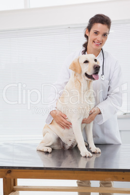 Happy veterinarian examining a cute dog