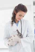 Vet with a rabbit in her arms