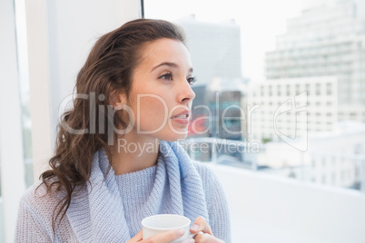 Pretty brunette having coffee by the window