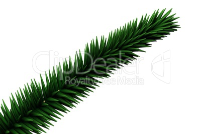 Digitally generated fir tree branches