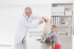 Vet examining a dog with its nervous owner