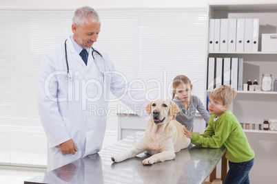 Vet examining a dog with its owners