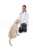 Vet knelling beside a puppy