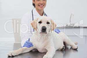 Smiling veterinarian examining a cute dog
