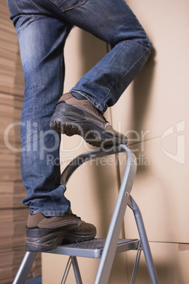 Worker on ladder in warehouse