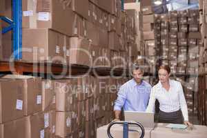 Colleague with laptop at warehouse