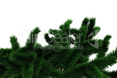 Digitally generated fir tree branches