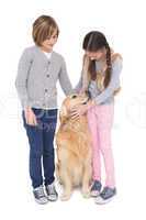 Siblings standing and petting their golden retriever