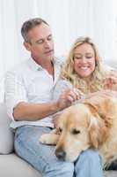 Smiling couple petting their golden retriever on the couch