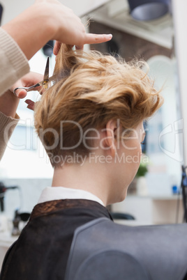 Smiling hairdresser cutting customers hair