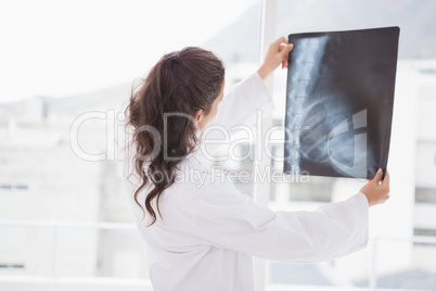 Brunette doctor analyzing xray results