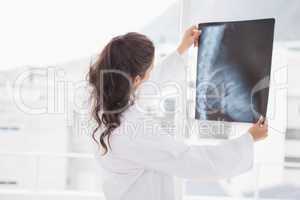 Brunette doctor analyzing xray results