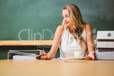 Beautiful businesswoman at office desk