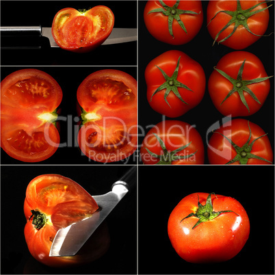 tomatoes collage