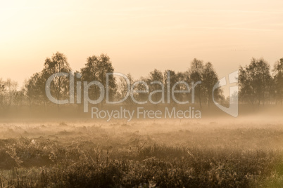 the moorland in the autumn