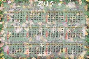 calendar for 2015 year on the background of moss and leaves