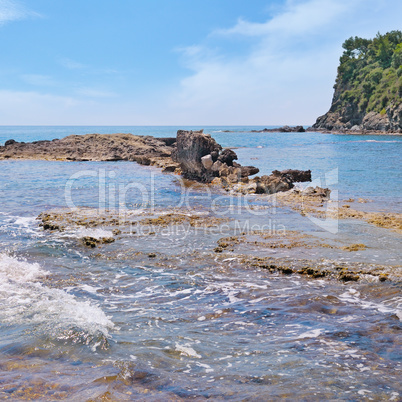 scenic sea shore and blue sky