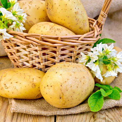 Potatoes yellow with flower and basket on board and sackcloth