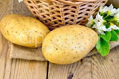 Potatoes yellow with flower and basket on sackcloth