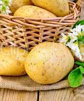 Potatoes yellow with flower and basket on wooden board