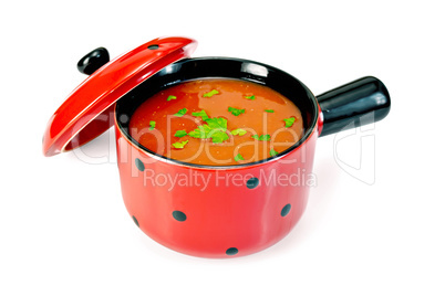 Soup tomato in red bowl with parsley