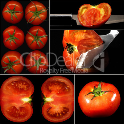 tomatoes collage