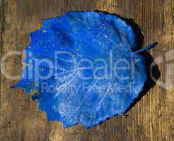 Blaues Blatt auf Holz