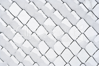 wire netting in winter