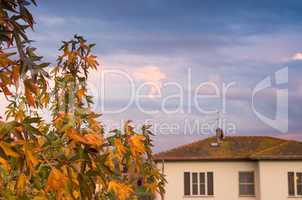 Autumn leaves with homes on background