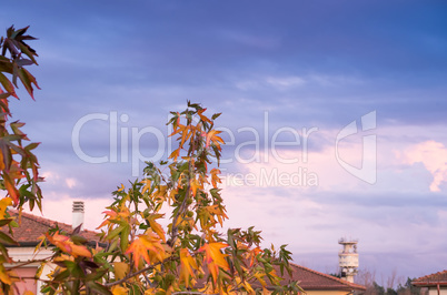 Autumn leaves with homes on background