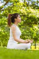 Healthy woman sitting in lotus pose at park