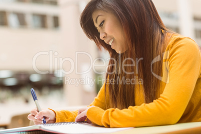 Female college student doing homework