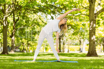 Peaceful blonde doing yoga in the park