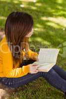 Relaxed female student reading book in park