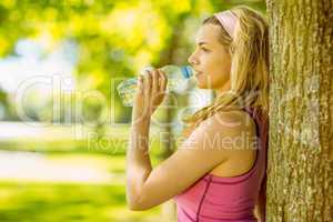 Fit blonde stretching against a tree