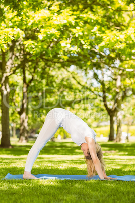 Peaceful blonde doing yoga in the park