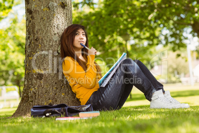 Female student with books sitting against tree in park