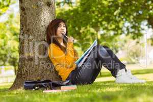 Female student with books sitting against tree in park